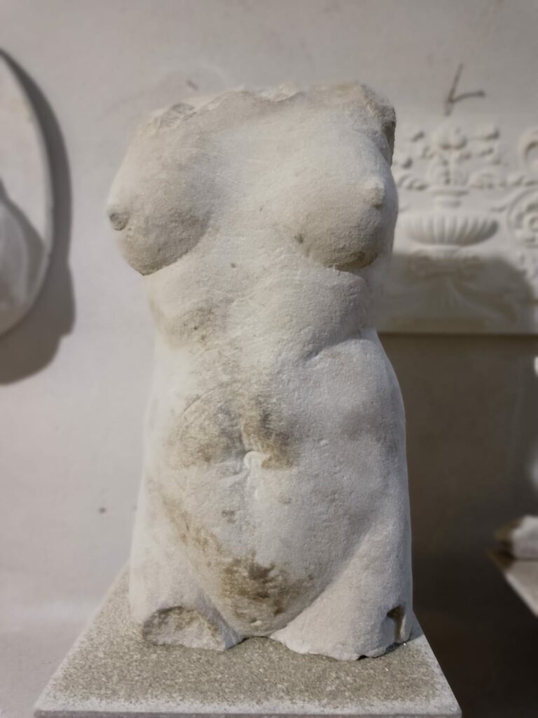 torso-venere